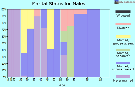 Zip code 39358 marital status for males