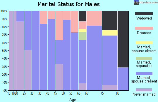 Zip code 39363 marital status for males