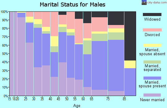 Zip code 39401 marital status for males