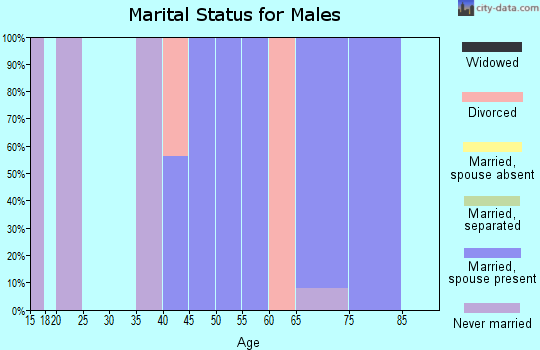 Zip code 39427 marital status for males