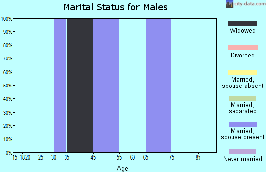 Zip code 39436 marital status for males