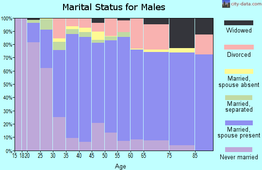 Zip code 39437 marital status for males