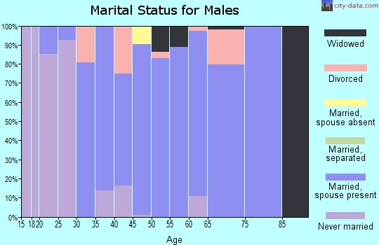 Zip code 39480 marital status for males