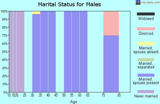 Zip code 39647 marital status for males