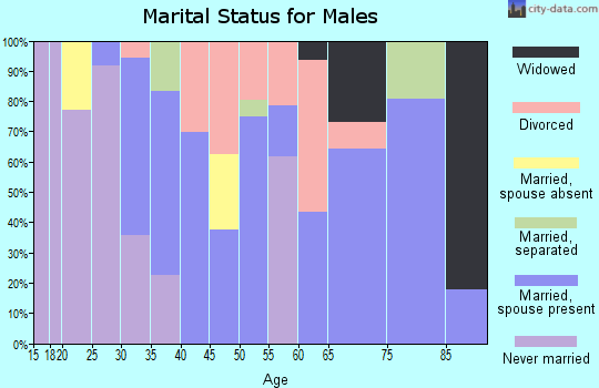 Zip code 39663 marital status for males