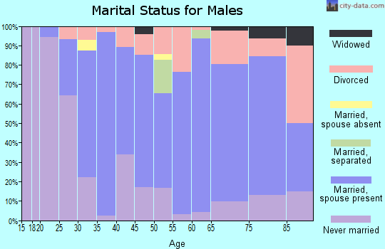Zip code 39666 marital status for males