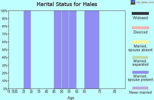 Zip code 39668 marital status for males