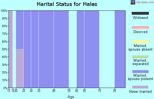 Zip code 39704 marital status for males