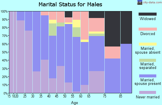 Zip code 39735 marital status for males