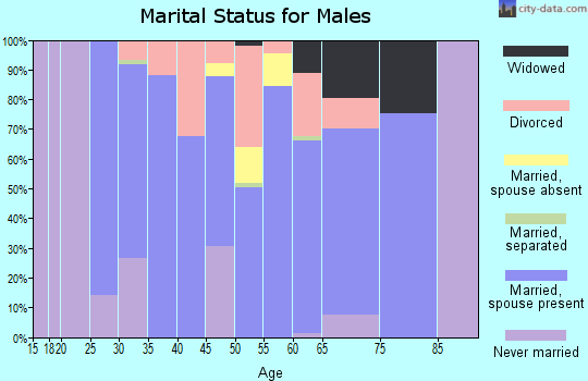 Zip code 39740 marital status for males