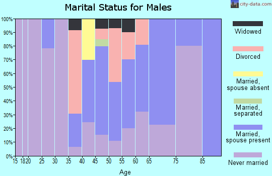 Zip code 39743 marital status for males