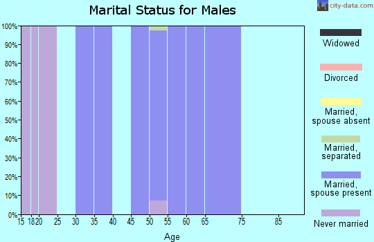 Zip code 39745 marital status for males