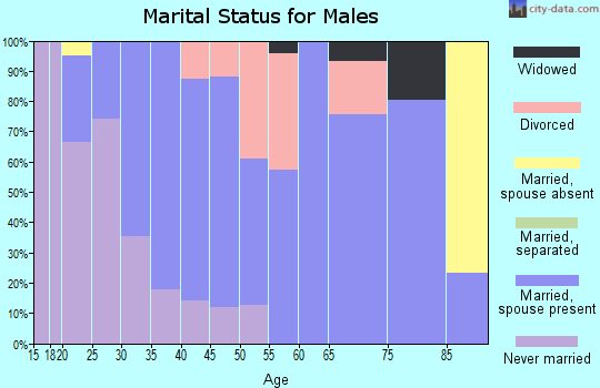 Zip code 39746 marital status for males