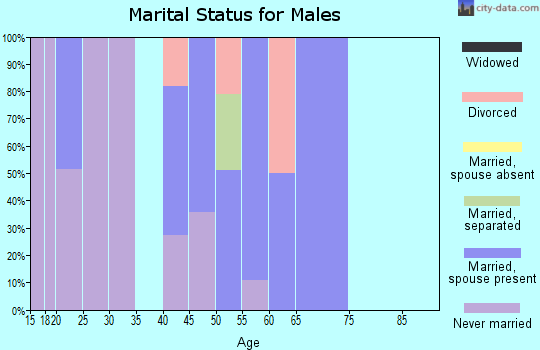 Zip code 39755 marital status for males