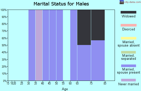 Zip code 39767 marital status for males
