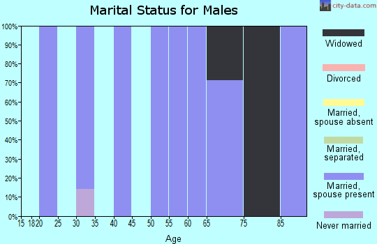 Zip code 39771 marital status for males