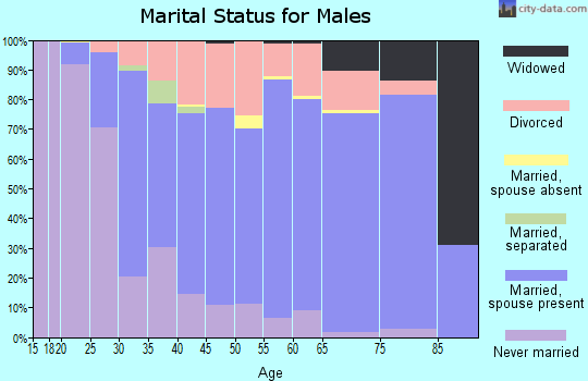 Zip code 40004 marital status for males