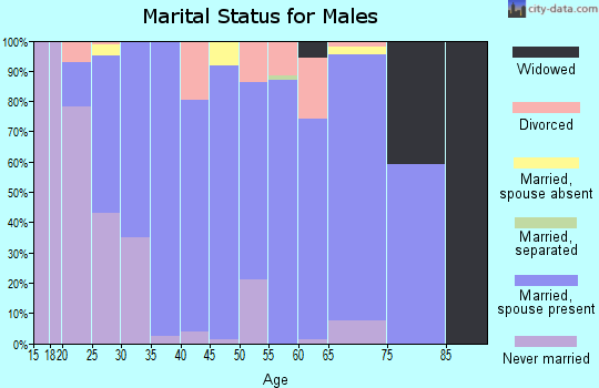 Zip code 40006 marital status for males
