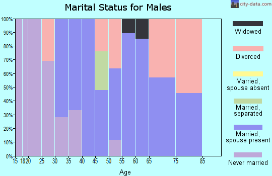 Zip code 40055 marital status for males