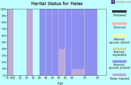 Zip code 40077 marital status for males