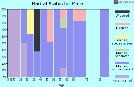 Zip code 40104 marital status for males
