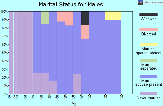 Zip code 40107 marital status for males