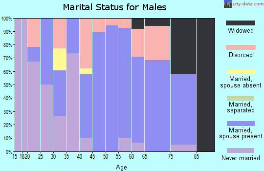 Zip code 40111 marital status for males