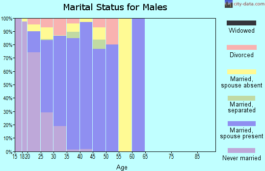 Zip code 40121 marital status for males