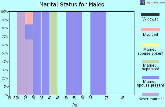 Zip code 40140 marital status for males