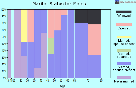 Zip code 40142 marital status for males