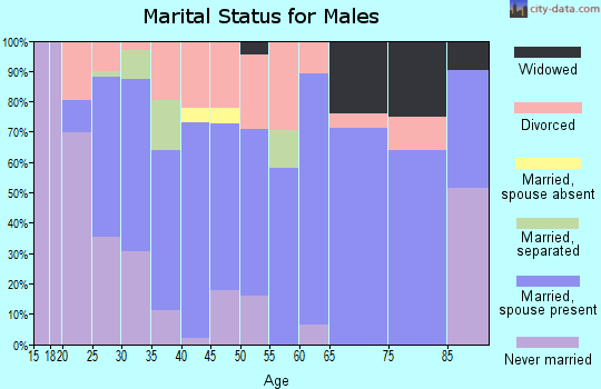 Zip code 40150 marital status for males