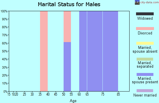 Zip code 40152 marital status for males