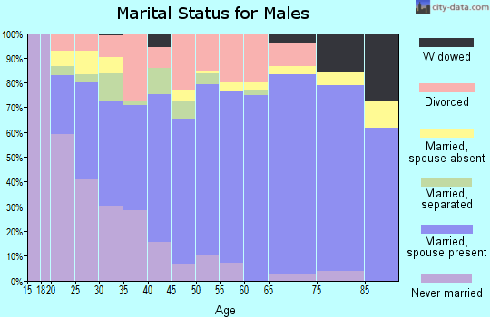 Zip code 40160 marital status for males