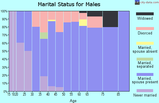 Zip code 40162 marital status for males