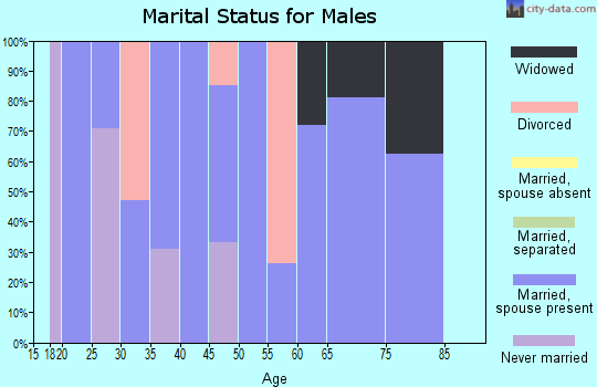 Zip code 40176 marital status for males