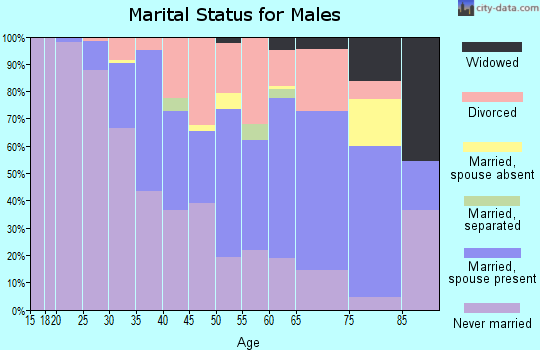 Zip code 40204 marital status for males