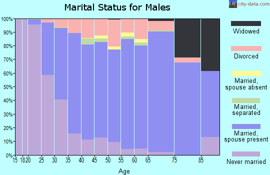 Zip code 40299 marital status for males