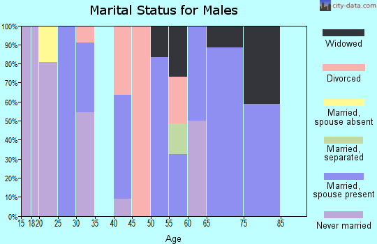 Zip code 40310 marital status for males