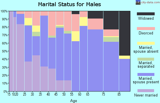Zip code 40336 marital status for males