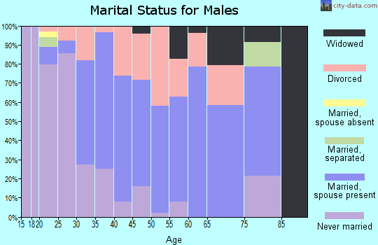 Zip code 40337 marital status for males