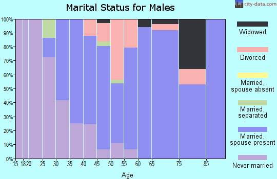 Zip code 40347 marital status for males
