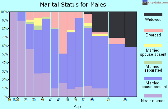 Zip code 40351 marital status for males