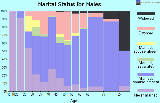 Zip code 40353 marital status for males