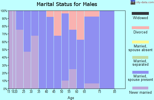 Zip code 40372 marital status for males