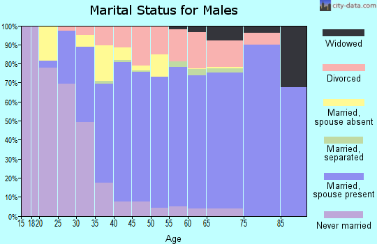 Zip code 40383 marital status for males