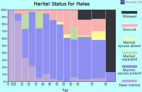 Zip code 40419 marital status for males