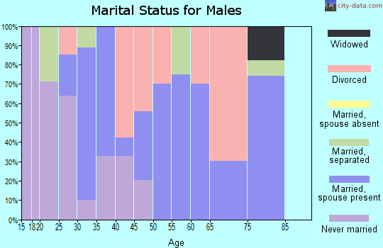 Zip code 40440 marital status for males
