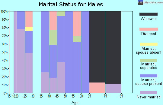 Zip code 40445 marital status for males