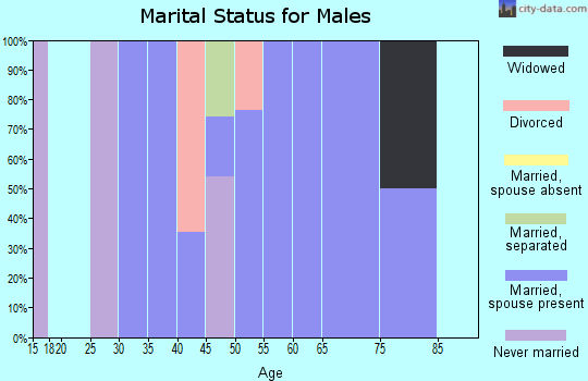 Zip code 40460 marital status for males
