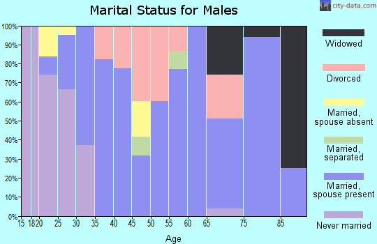Zip code 40489 marital status for males